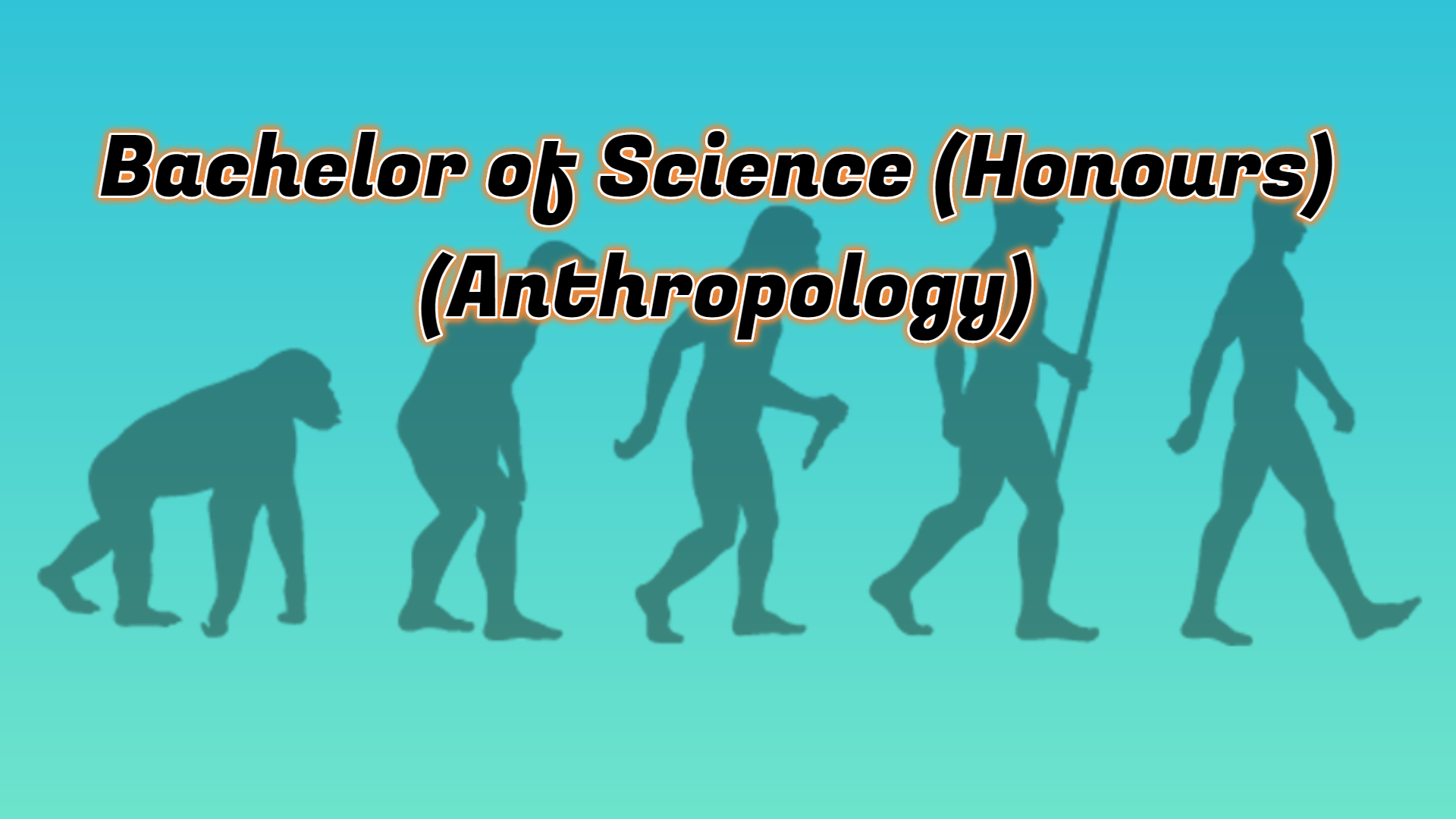 anthropology bachelor thesis