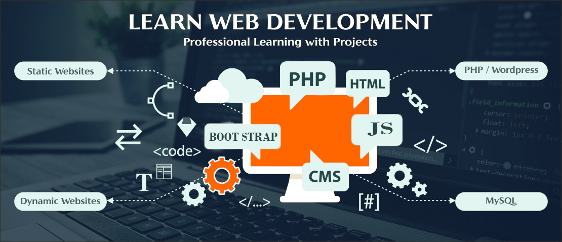 website design and training program